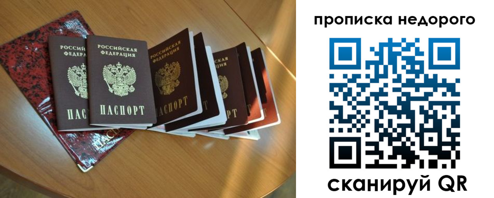 прописка законно в Новочеркасске